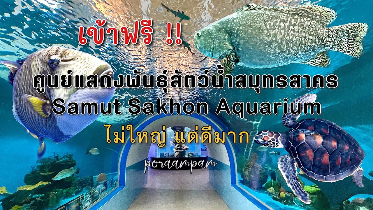 ศูนย์แสดงพันธุ์สัตว์น้ำสมุทรสาคร Samut Sakhon Aquarium : พาเดินดูทุกซอกทุกมุม : poraampam