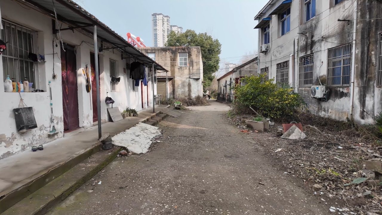 中國城市裡的慢生活｜菜地、街道與真實日常｜4K