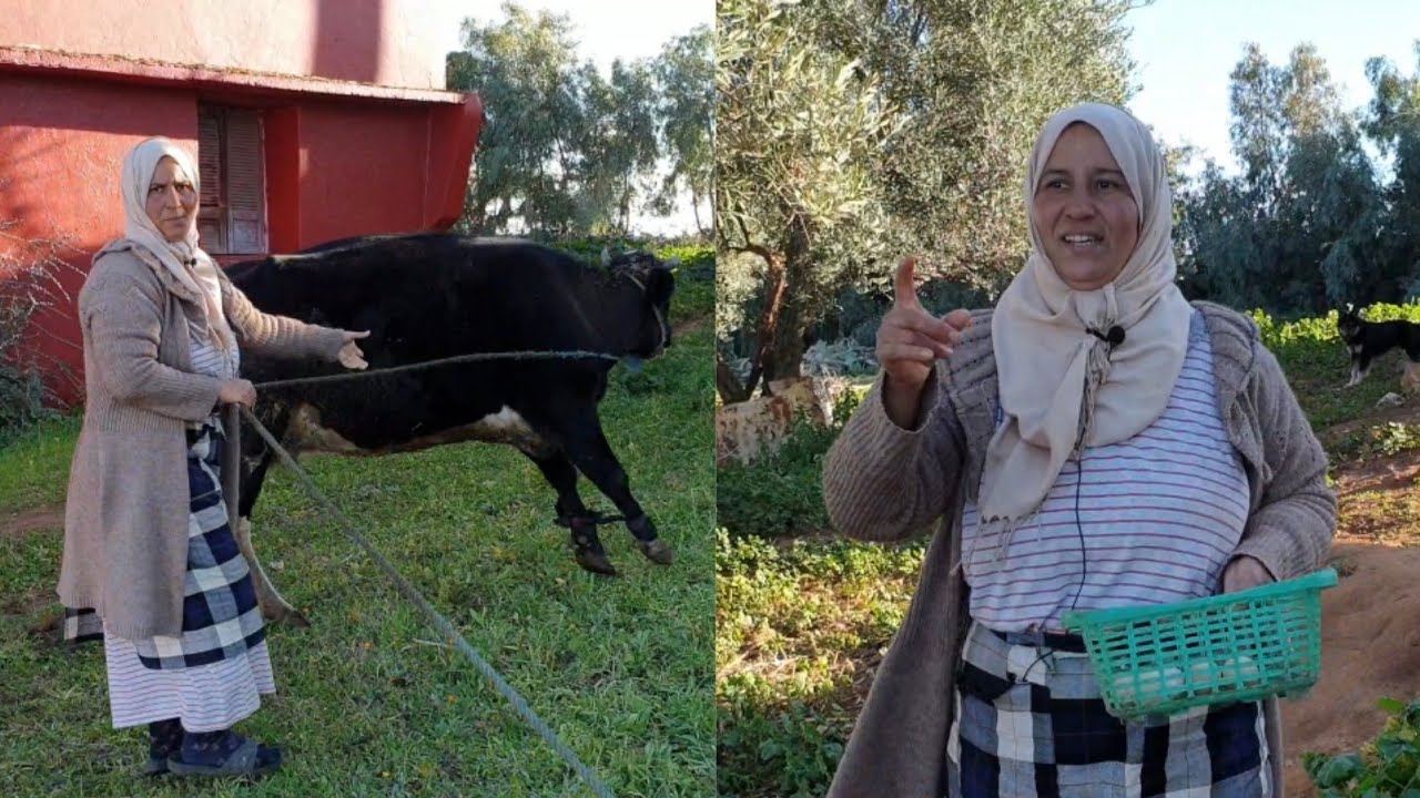 جولة في البادية بمنزل الأخت ليلى مع لالة حادة و عروستها