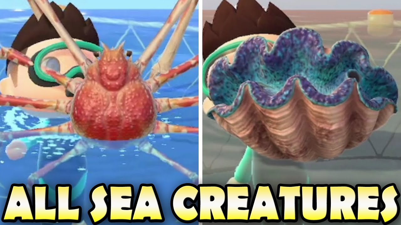🦐 ВСЕ 40 МОРСКИХ СУЩЕСТВ И КАК ИХ ОБНАРУЖИТЬ В Animal Crossing: New Horizons! (Северный и Южный)