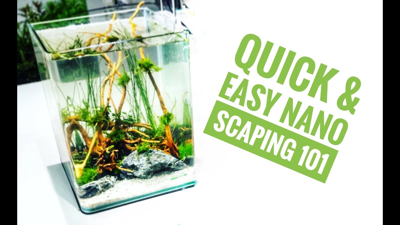 HOW TO SCAPE a Dennerle 10 litre NANO AQUARIUM