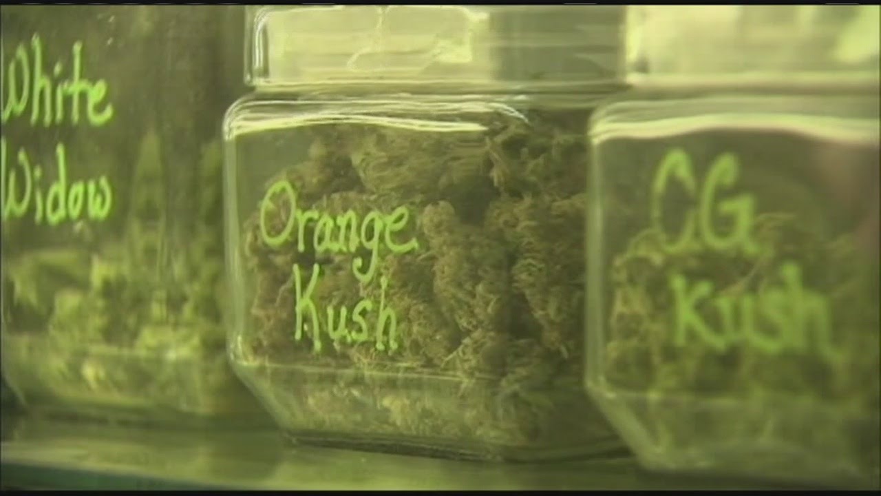 Massachusetts lawmakers eyeing pot tax revenues