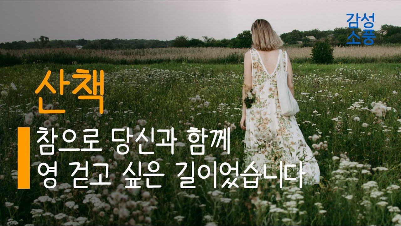 참으로 당신과 함께 영 걷고 싶은 길이었습니다｜산책｜조병화｜시낭송｜좋은글｜좋은시｜한국인이 좋아하는｜시 읽어주는 여자｜승현 유미숙｜잠잘때 듣는｜오디오북 ｜감성소풍