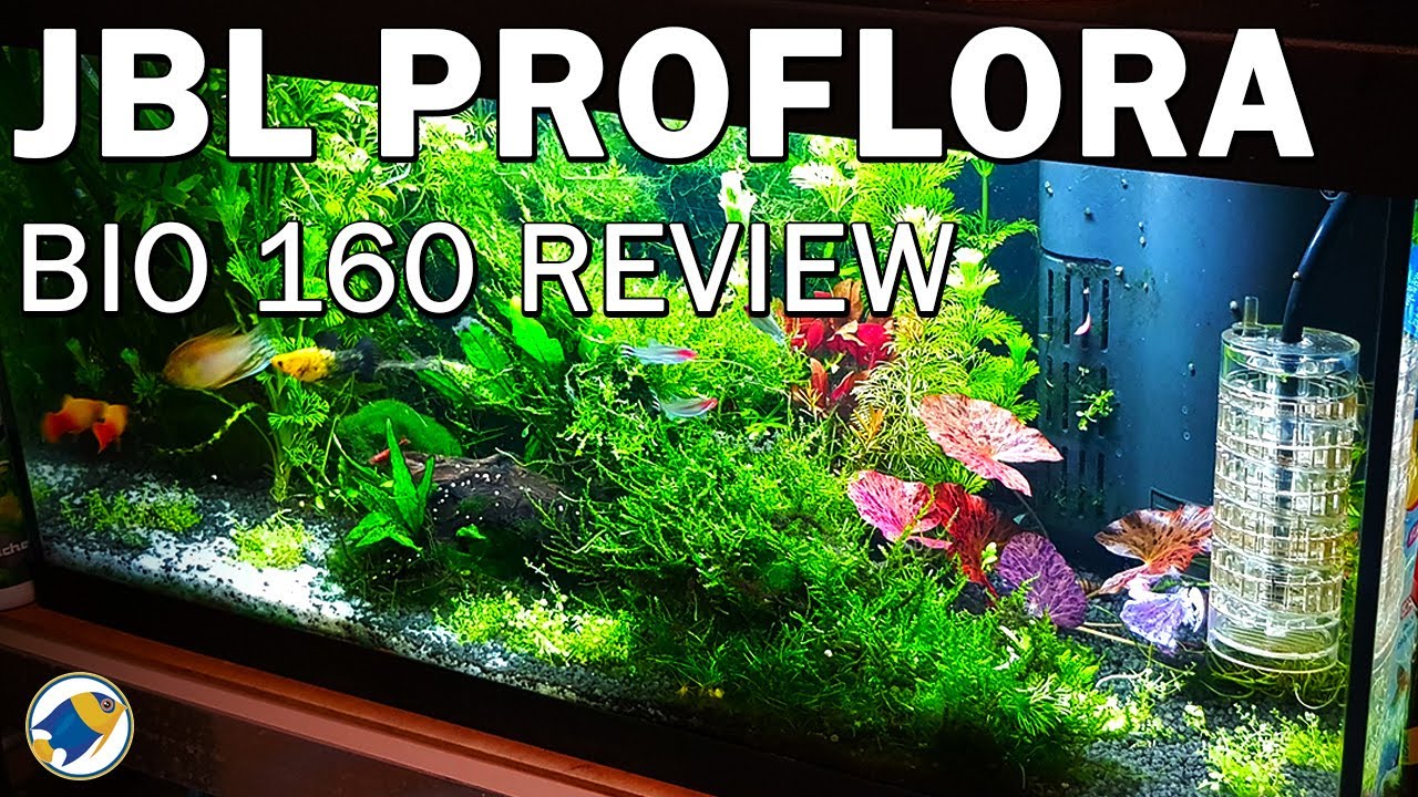 JBL Proflora Bio 160 Review | Budget CO2 System for Beginners - MR BRIGHTFRYED