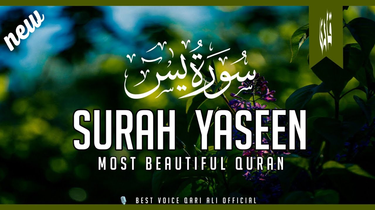 Surah Yaseen (Yasin) سورۃ یس | With Urdu Translation full | Best Voice Qari Ali official 