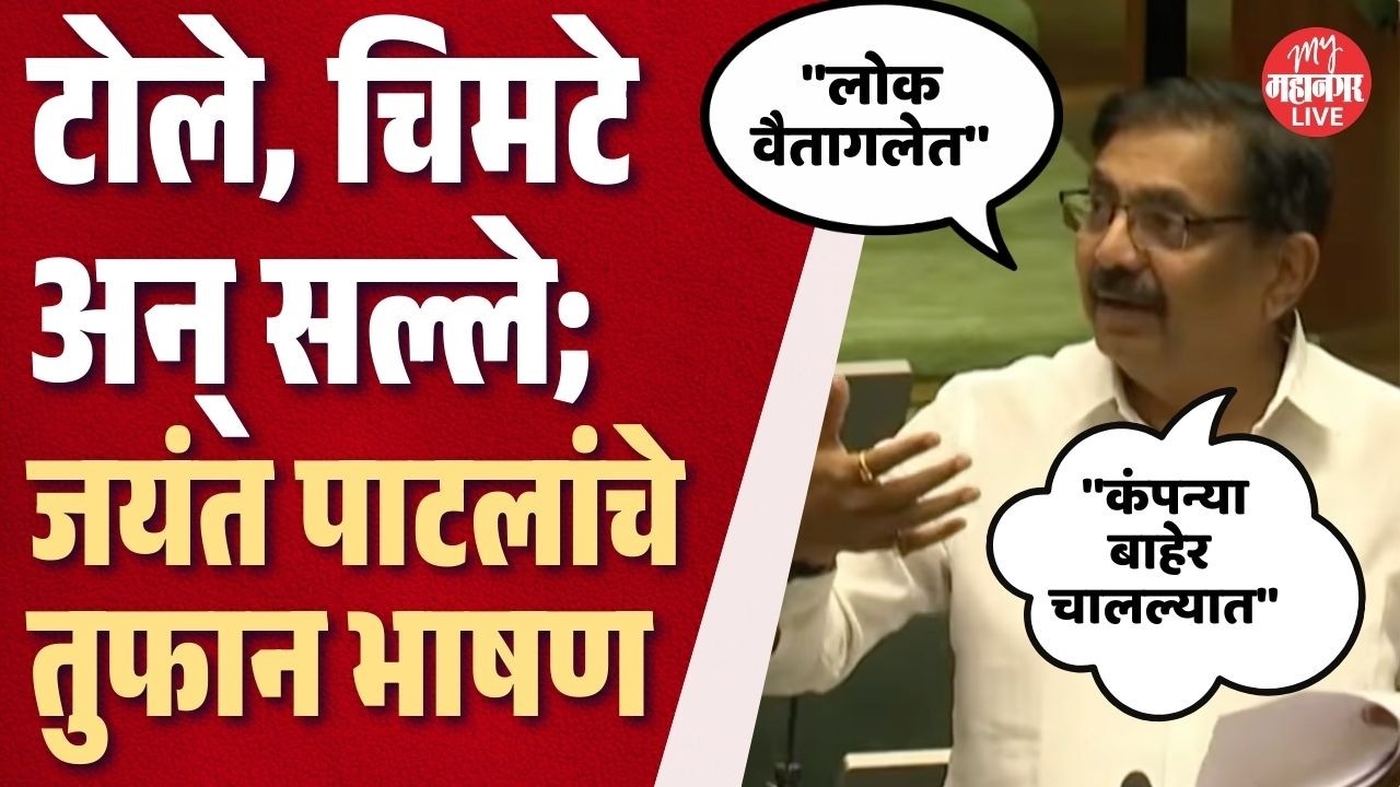 गोड बोलून जयंत पाटलांनी सरकारला जागा दाखवली, जबरदस्त भाषण | Jayant Patil In Vidhan Sabha