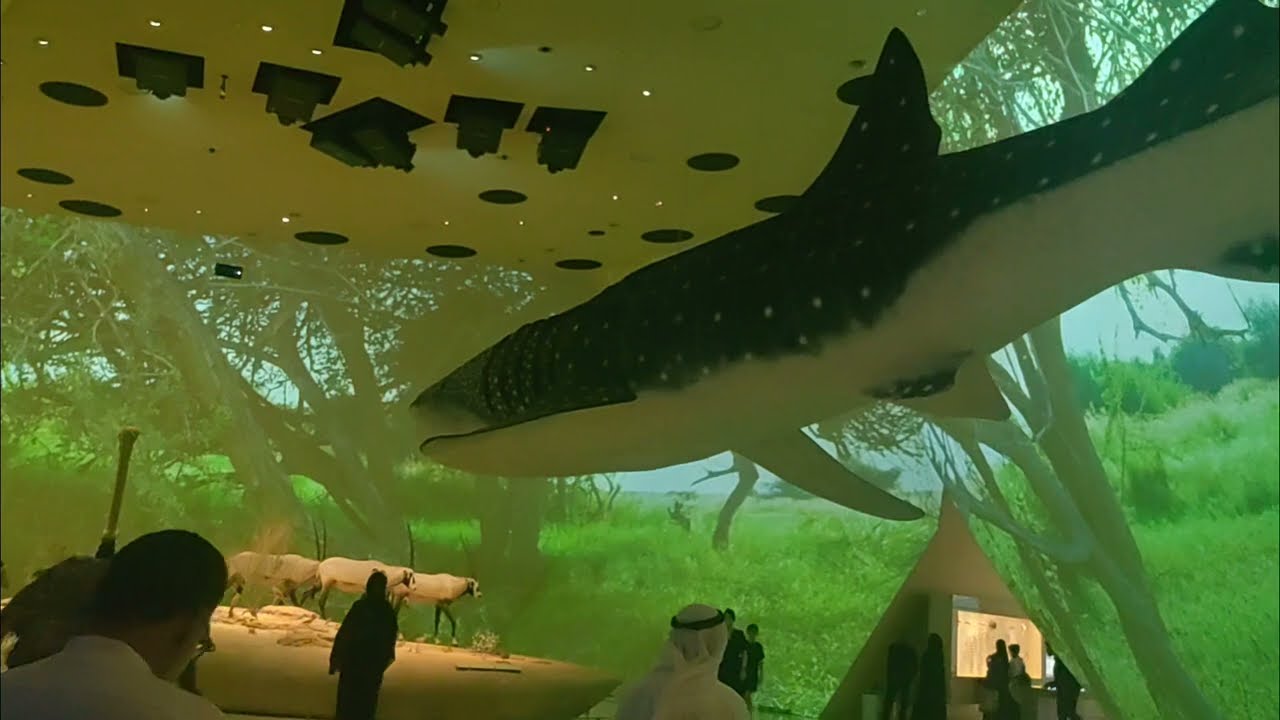 National Museum of Qatar - Inside View