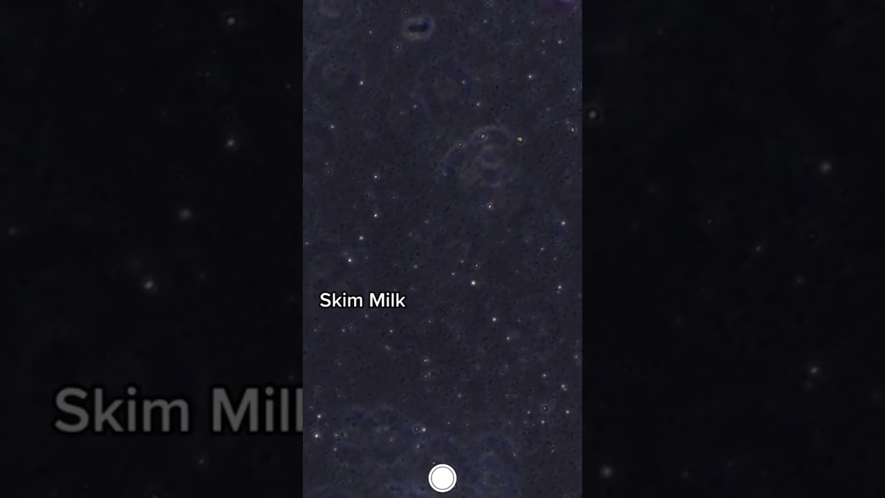 You&rsquo;ve never seen milk this close before 😮 #microscope #science #microscopy