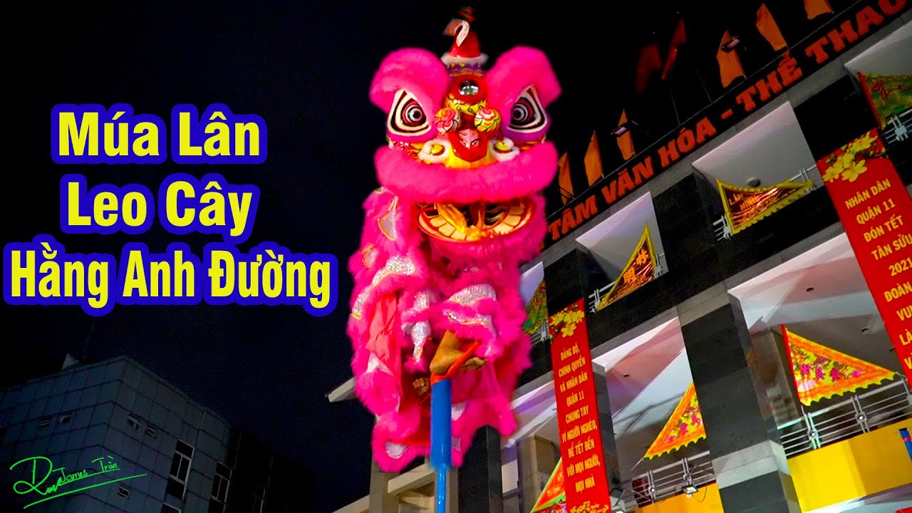 Múa Lân Leo Cây Cực Hay / LSR Hằng Anh Đường 2021