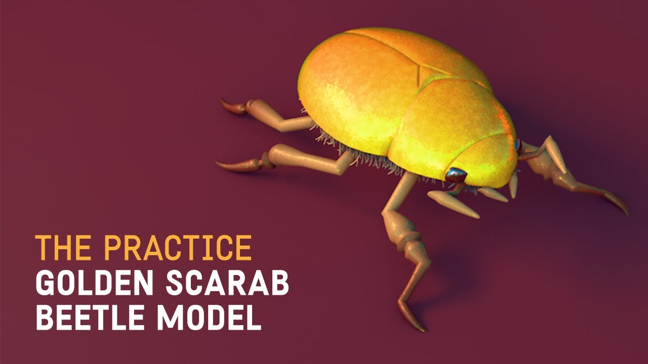Create a 3D Golden Scarab Beetle Model in Cinema 4d // The Practice 174