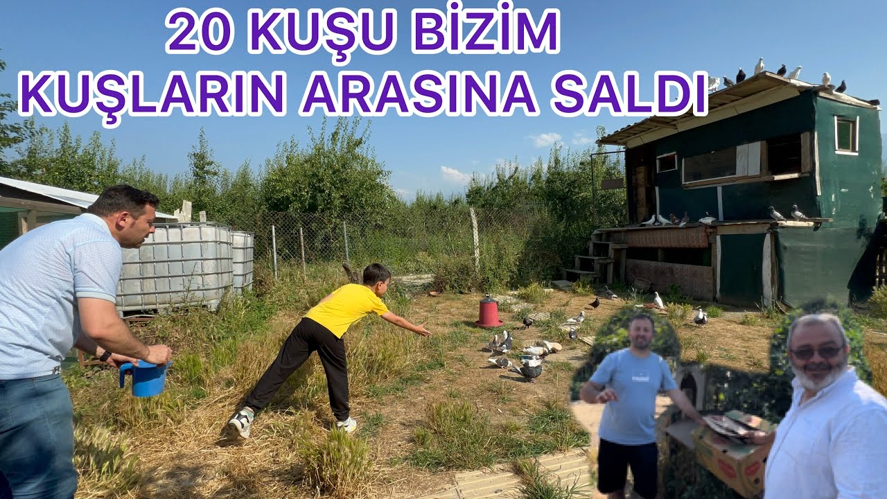 KARIŞIM DEDİĞİN BÖYLE OLUR HACI ABİNİN İDDEASI BÜYÜK SİZCE SONUÇ