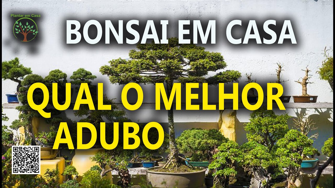 ABC do Bonsai, Qual a Melhor Adubação, aula de Expert