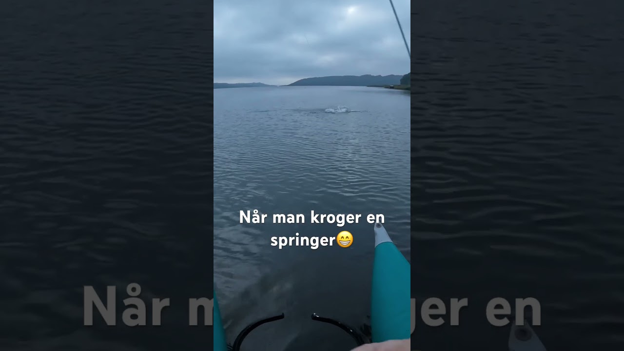 Fin hav&oslash;rred fra Mariagerfjord