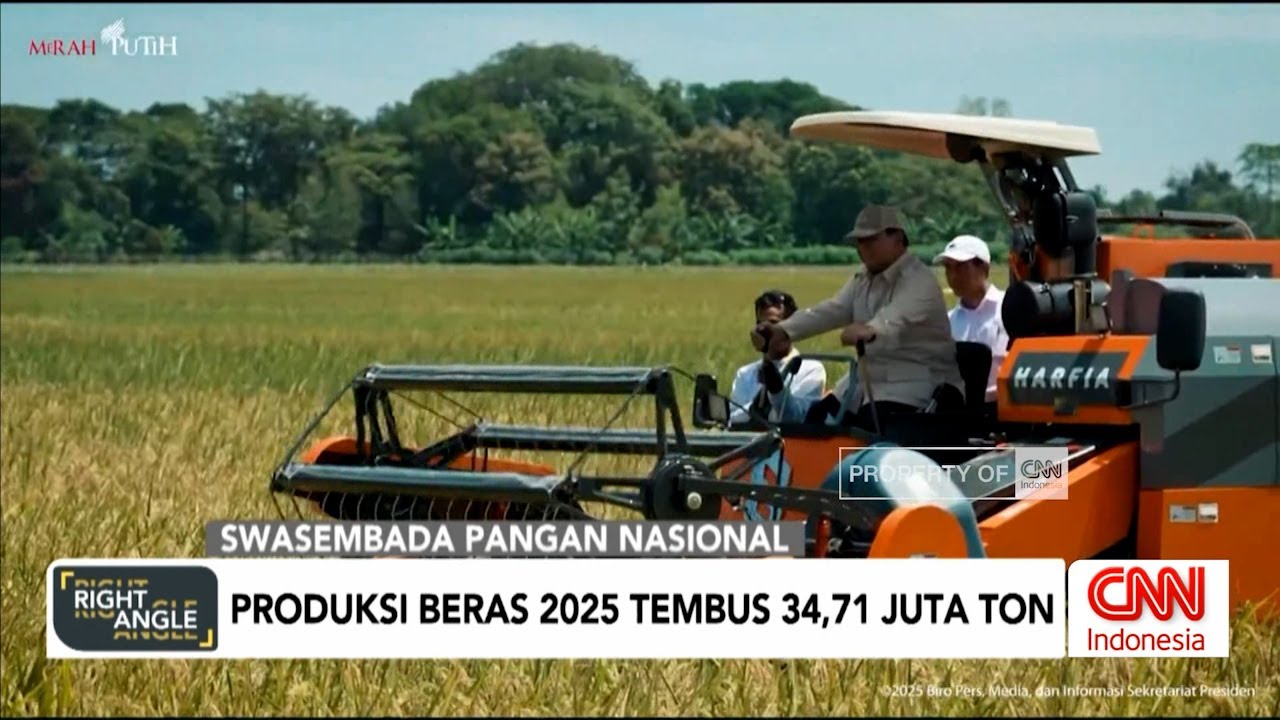 Produksi Beras 2025 Tembus 34,71 Juta Ton