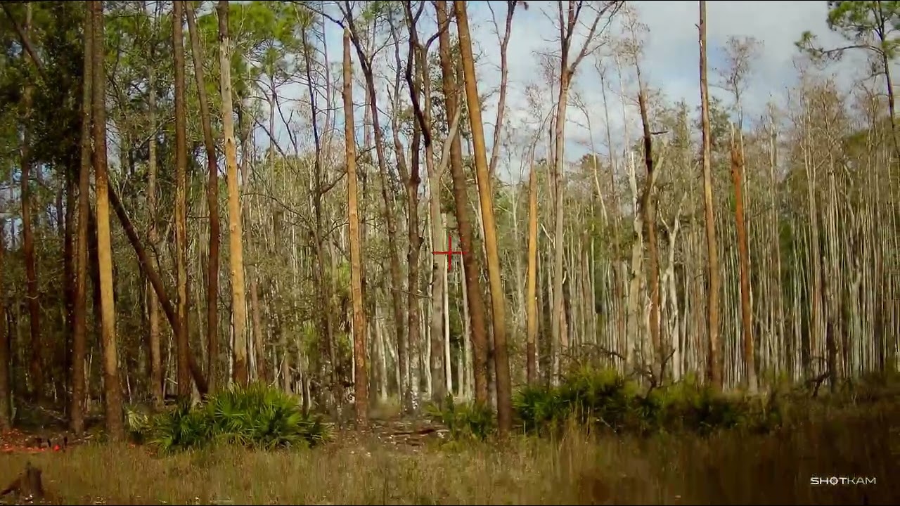 Tampa Bay Sporting Clays   2-14-2026