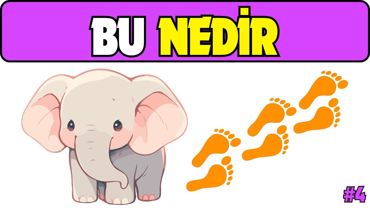 Kelime Bulmaca Oyunu 4 / Resimde Anlatılanı Bul / Resfebe Örnekleri Cevaplı /rs