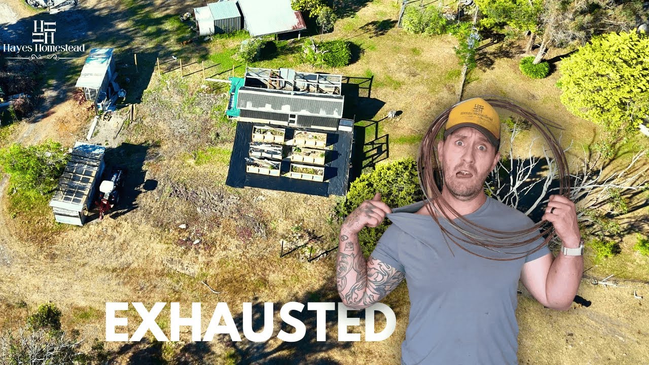 Мегапроект Australian Homestead получает столь необходимую перезагрузку.