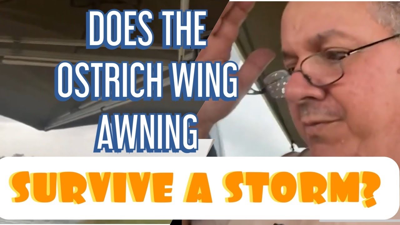 Does the Ostrich Wing 270 Freestanding awning survive a storm?