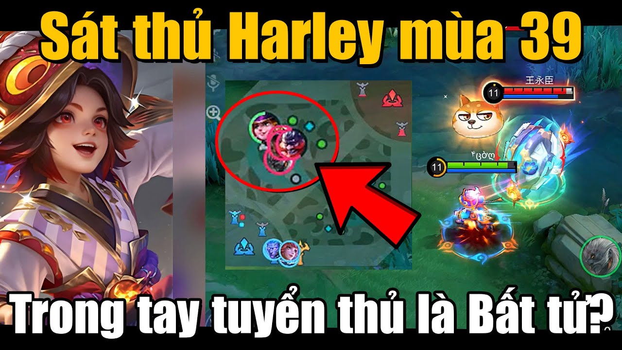 MLBB | HARLEY LẦN ĐẦU TIÊN XUẤT HIỆN Ở GIẢI THẾ GIỚI M7: SÁT THỦ BẤT TỬ TRONG GAME MÙA 39!? | Tốp Mỡ