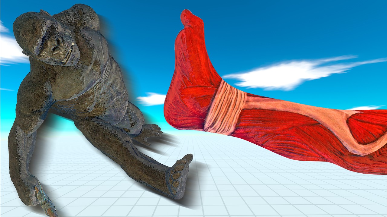 King Kong & Colossal Titan KICK! Giant Battle | Animal Revolt Battle Simulator
