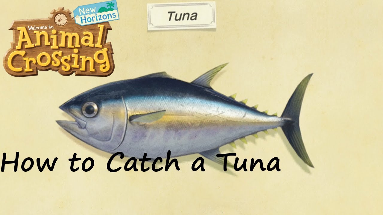Animal Crossing: New Horizons - How to Catch a Tuna