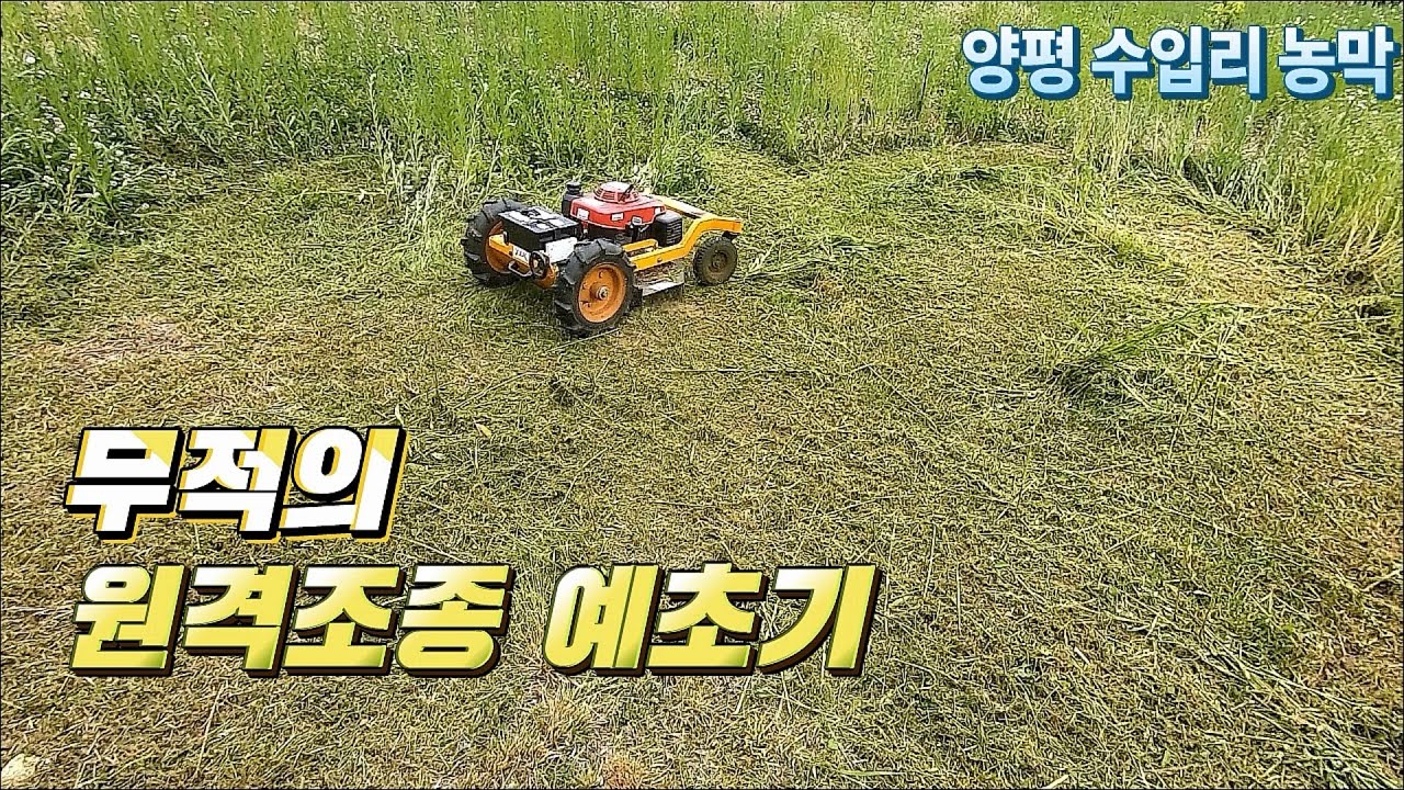 예초기로 잡초 제거하며 멍때리다 왔습니다 / 원격 조종 RC 예초기 / 양평군 수입리 농막 컨테이너 일상