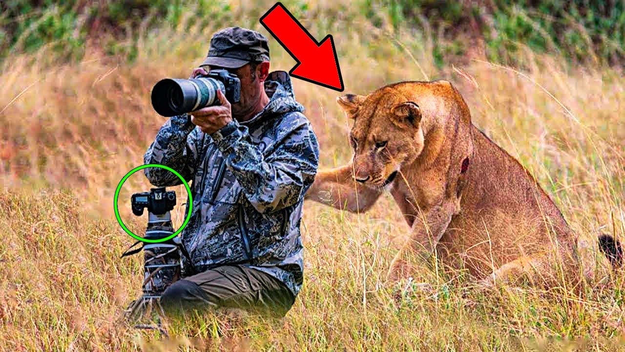 Leona Le pide ayuda a un fotógrafo, Quedó Helado Al Darse La vuelta Y saber el motivo