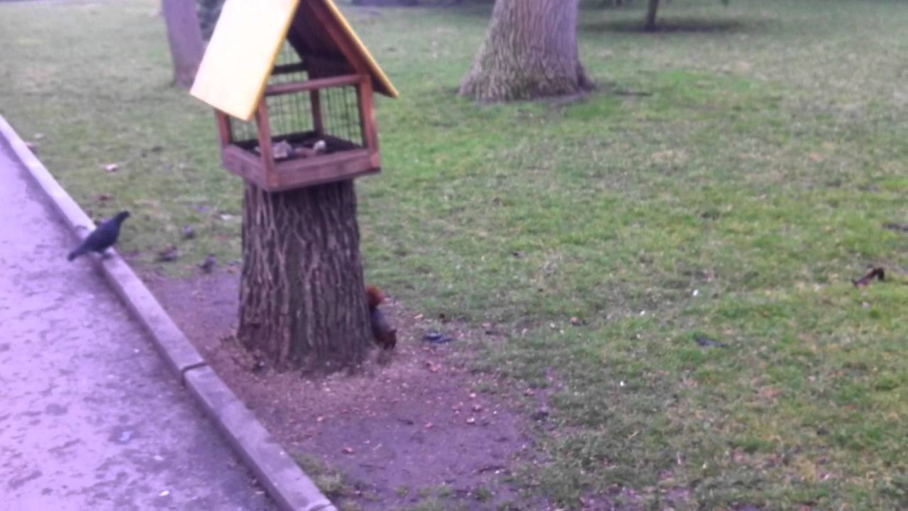 По дороге в школу. On the way to school.