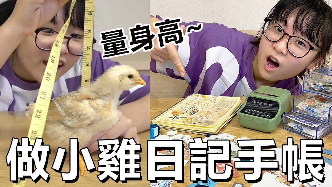 【DIY】作小雞成長手帳 猜猜小雞誰身高最高?[NyoNyoTV妞妞TV]