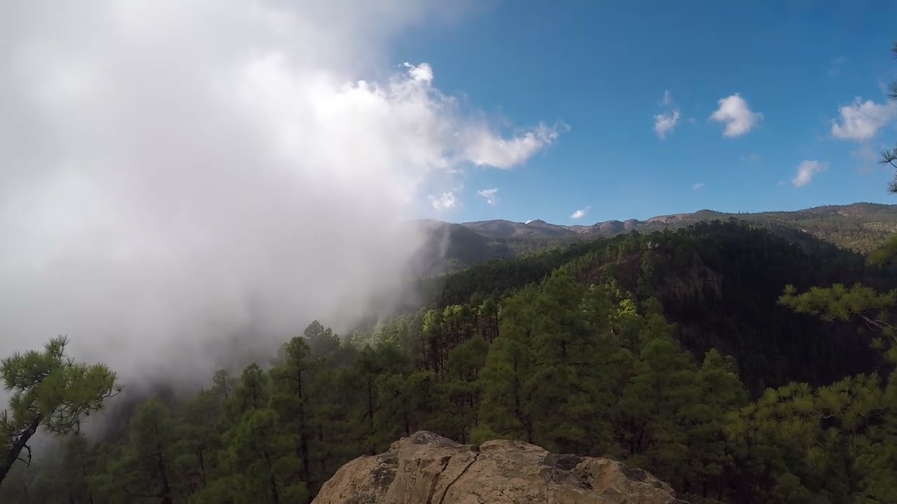 El Contador 6, Villa de Arico   Tenerife Oct2022