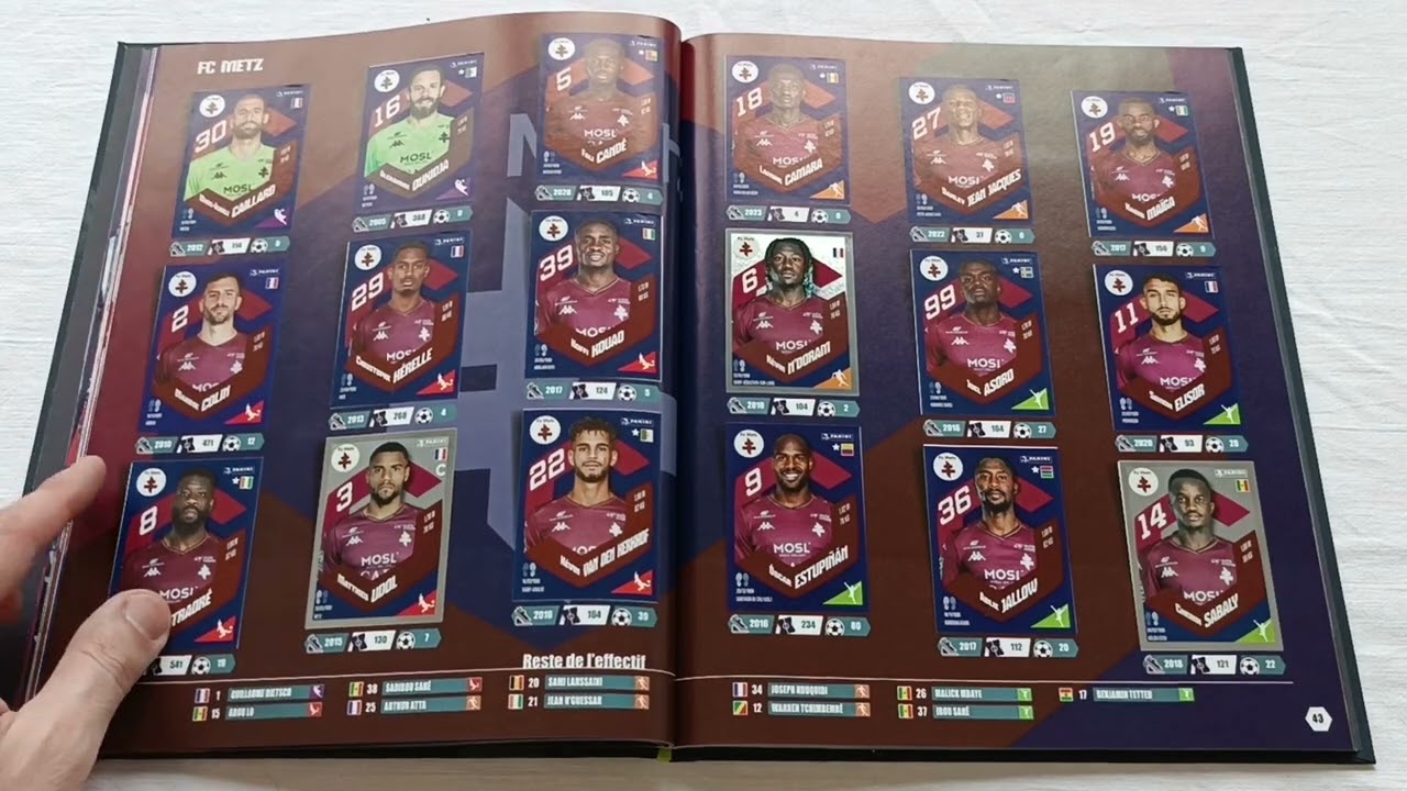Panini Foot 2024 Hardcover Album - 100% Complete