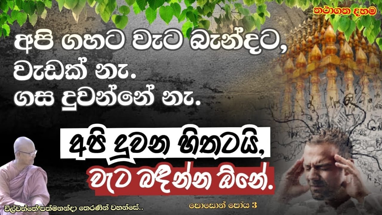 Wilwaththe PathmaNanda Theraniyo.