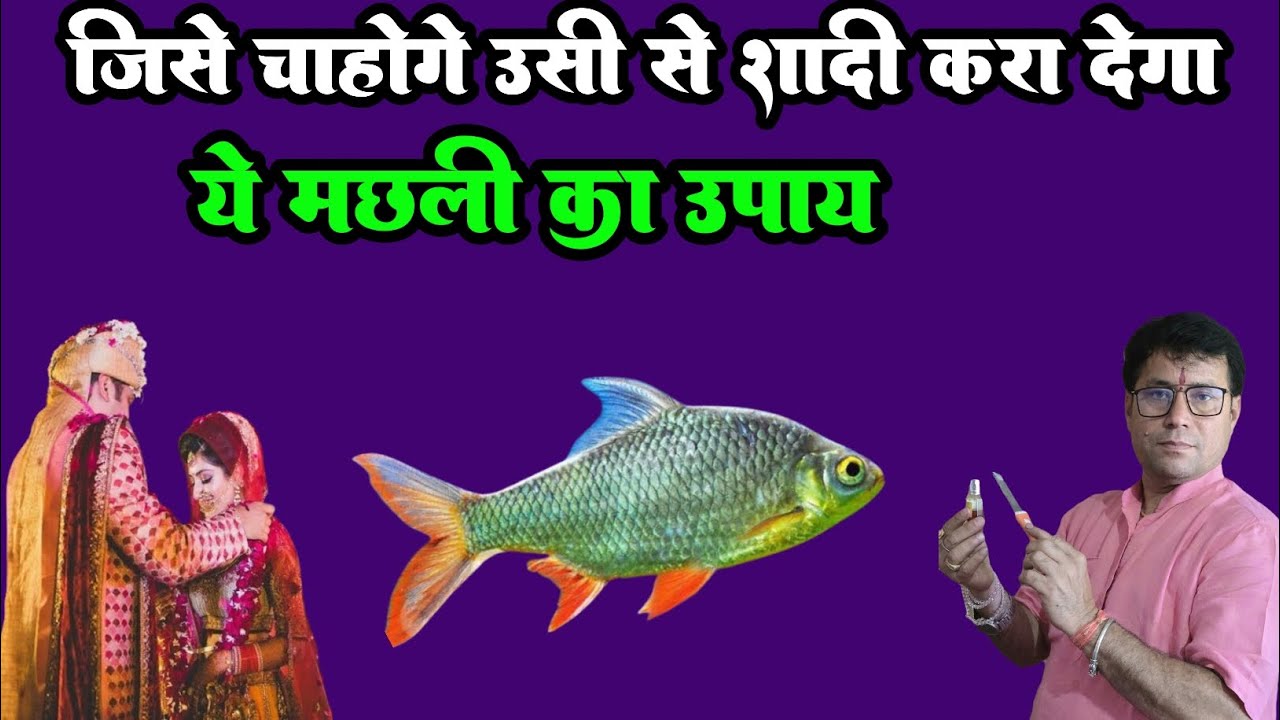जिसे चाहोगे उसी से शादी करा देगी! ये मछली का उपाय ~ 👉चमत्कारी उपाय आपके लिए 👈
