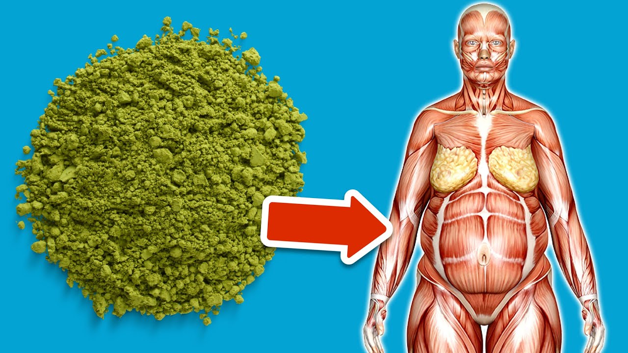 Du GLAUBST NICHT was mit dir passiert, wenn du jeden Tag Matcha Tee trinkst 🤯💥