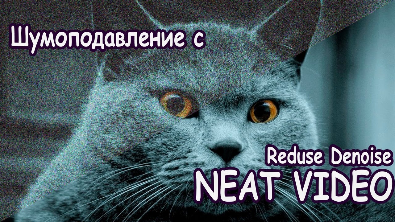 Neat Video Reduse Denoise Топовый шумодав