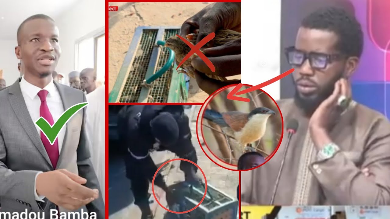 mauvaise nouvelle😂🥱🥱😱 ministre de l'Intérieur baye assane💯🥱