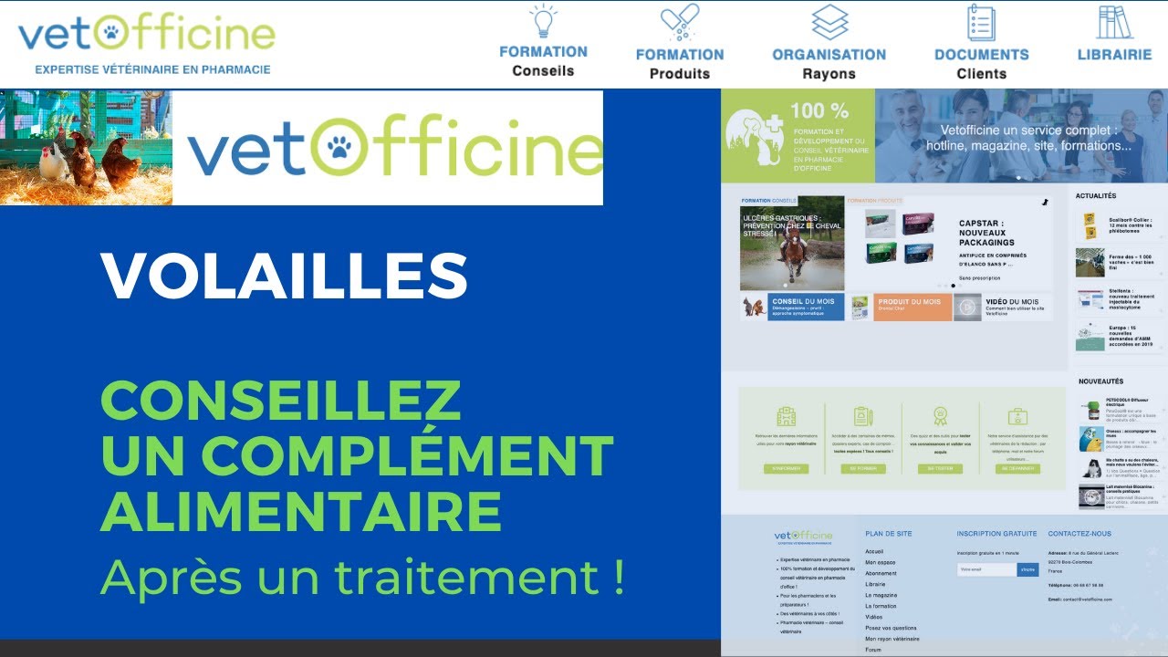 Compléments alimentaires pour volailles (poules) : indispensables après un traitement !