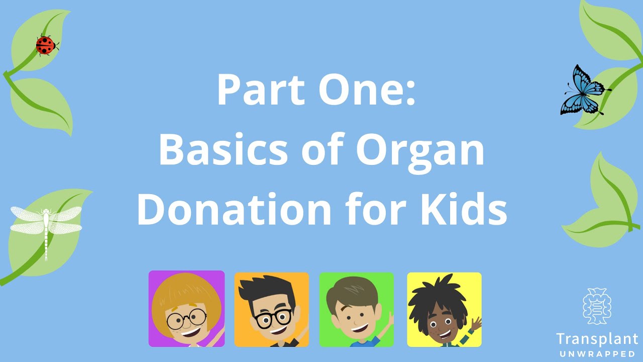 Part One: The Basics of Organ Donation for Kids