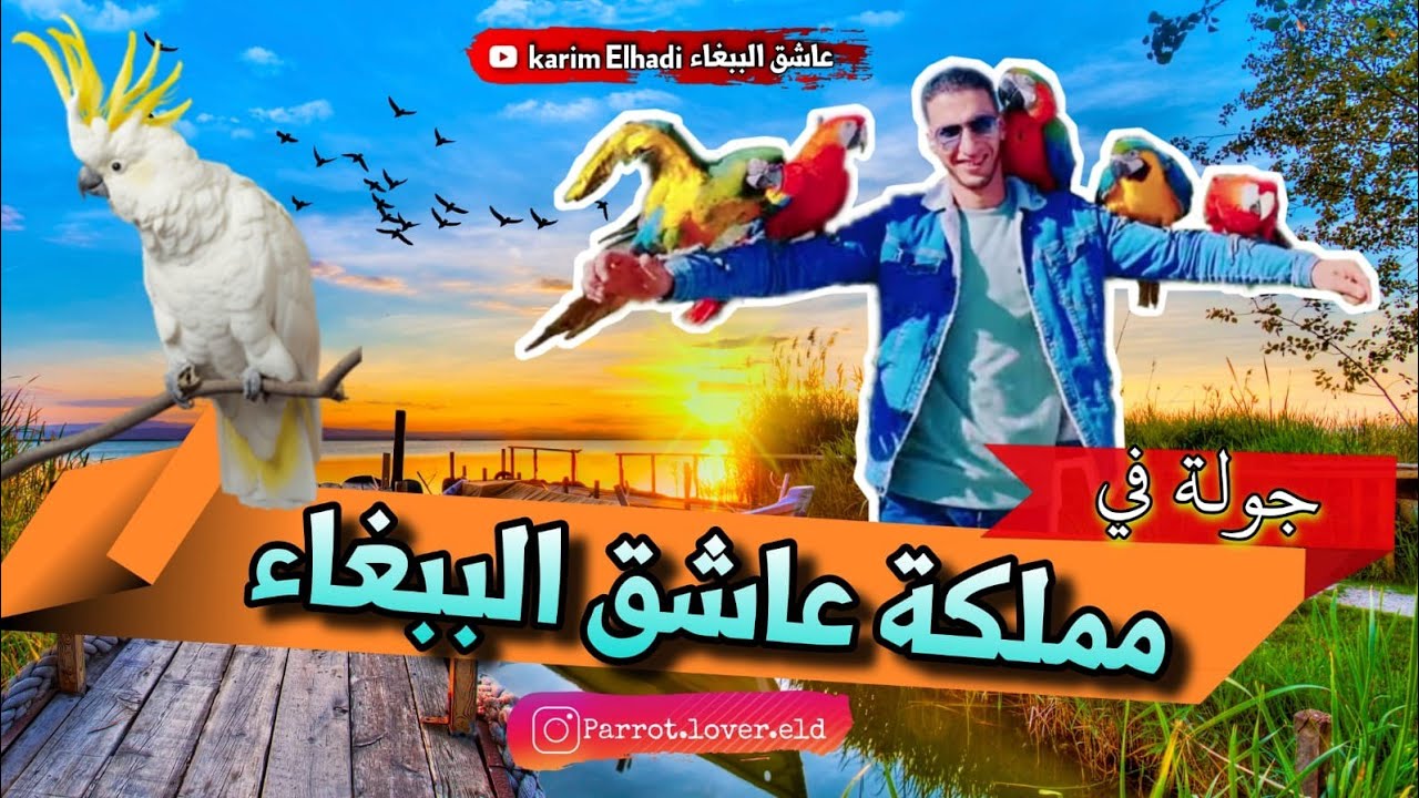 جولة رائعة🤩 في مملكة🖼🏆عاشق الببغاء🦜 الجميلة🥇