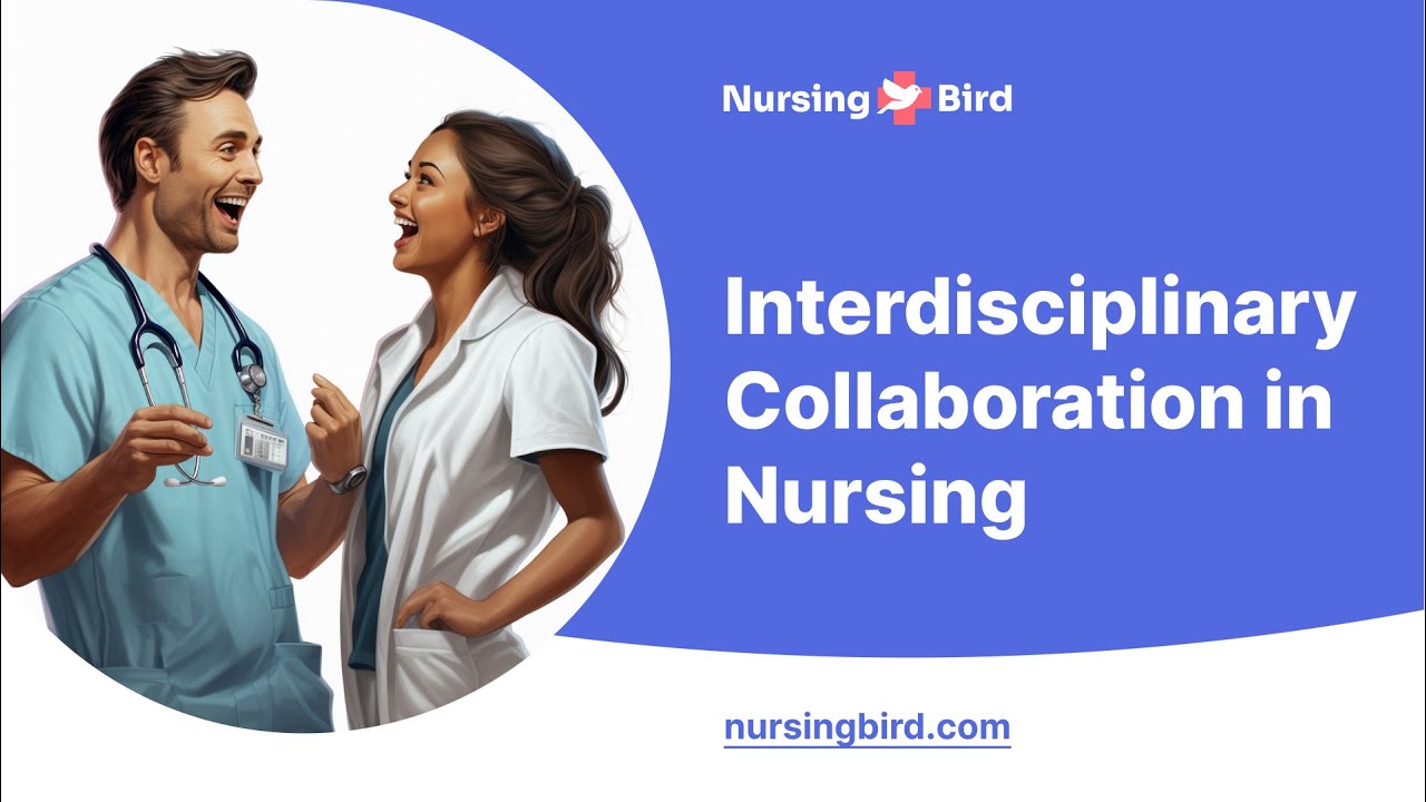 Interdisciplinary Collaboration in Nursing - Essay Example