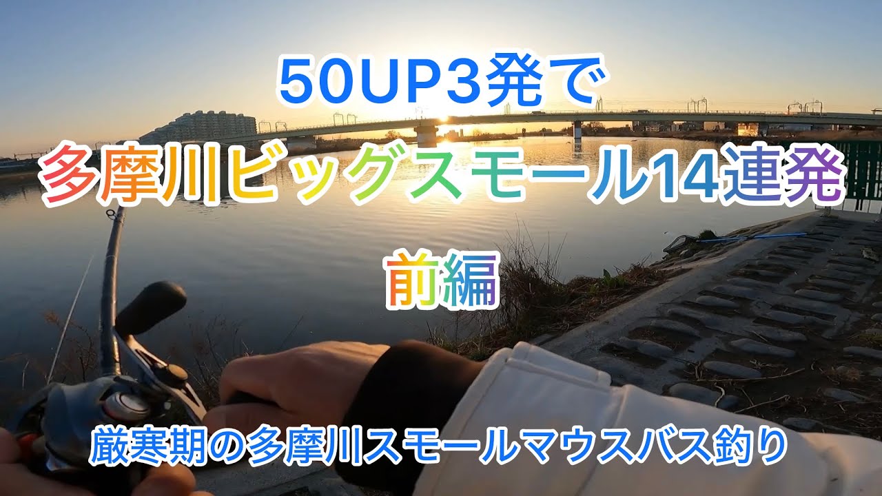 多摩川ビッグスモール14連発‼︎前編50アップも登場‼︎多摩川バス釣り#バス釣り#多摩川#登戸#釣り#スモールマウスバス#泳がせ釣り 