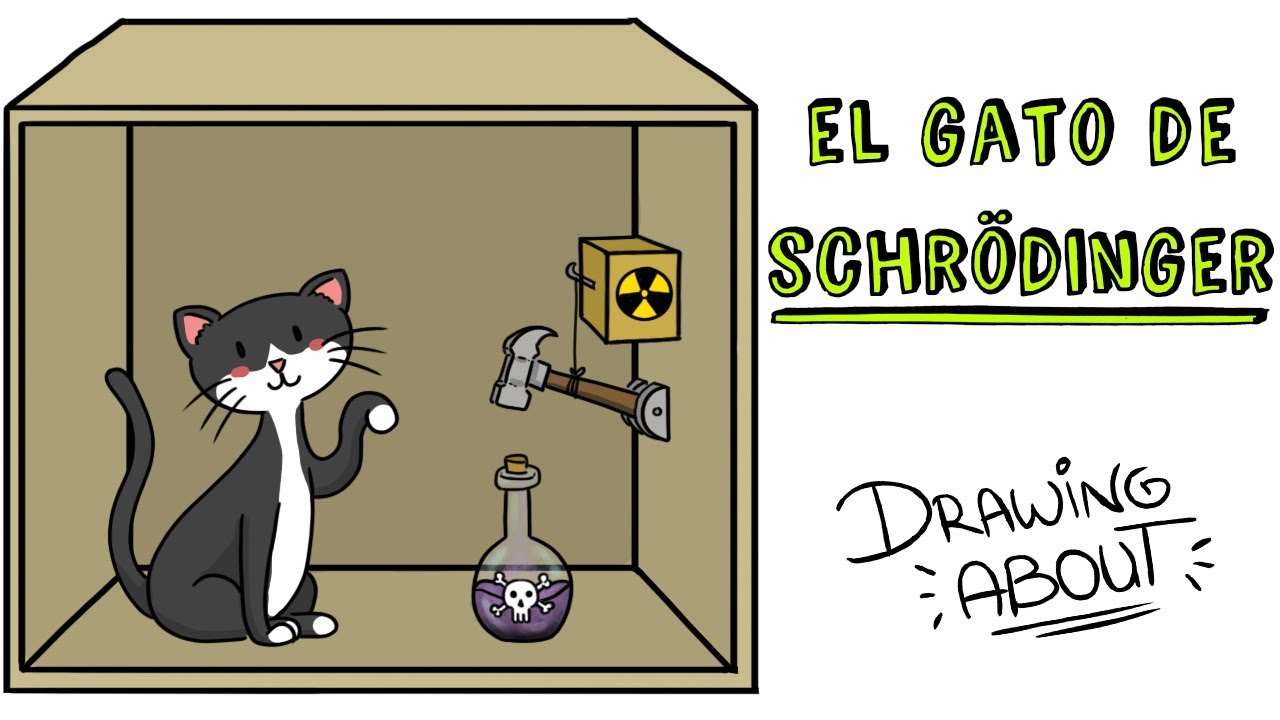 EL GATO DE SCHRÖDINGER | Draw My Life