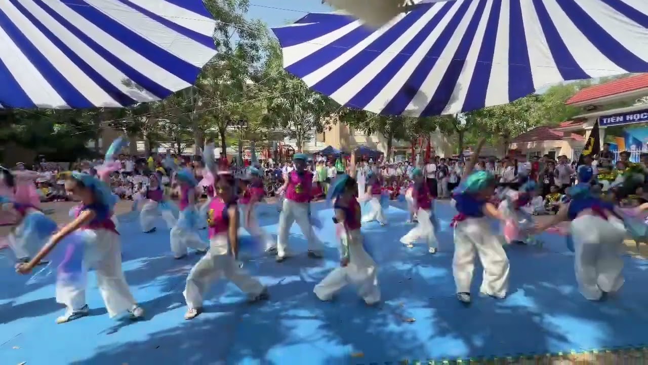 Bắc blind