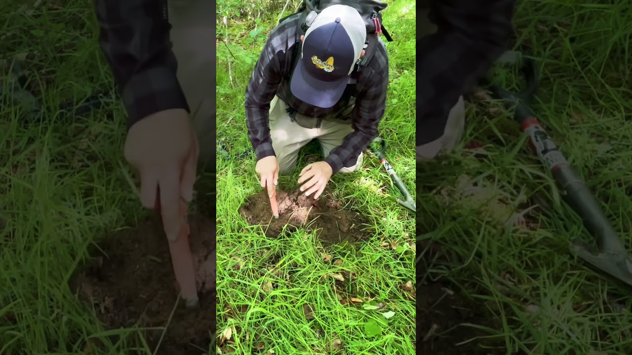 Un v&eacute;ritable tr&eacute;sor avec mon d&eacute;tecteur de m&eacute;taux #metaldetecting #treasuresearch #metaldetector