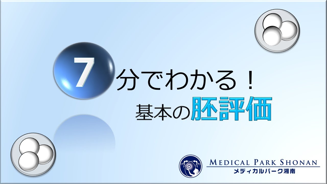 【胚評価（グレード）編】第16回MP湘南YouTube勉強会