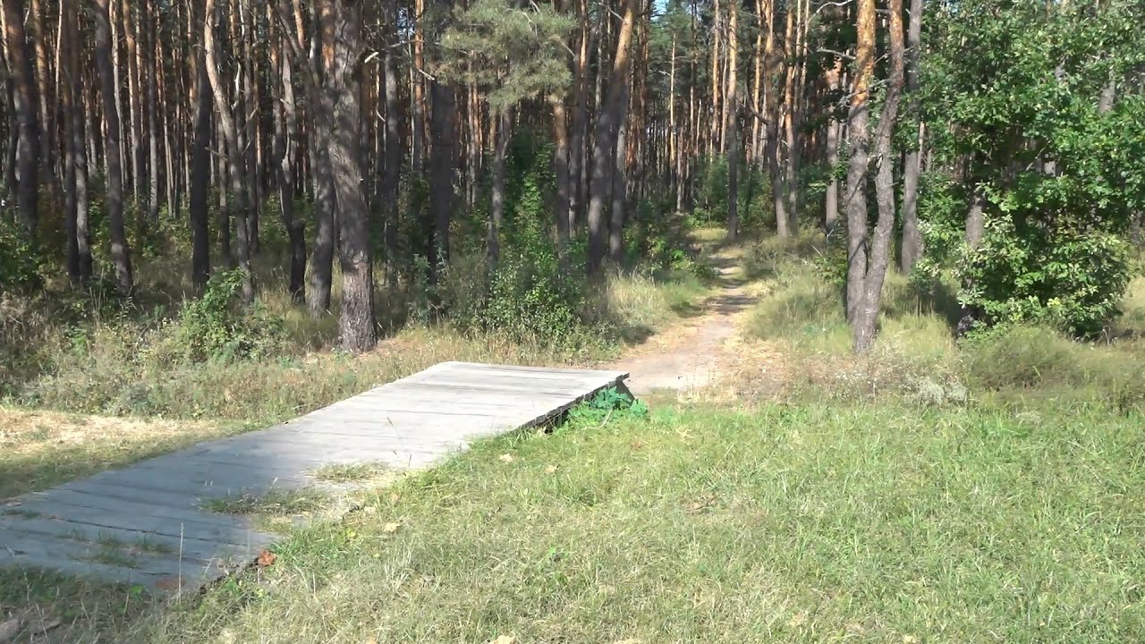Как навести порядок в лесопарковой зоне Пинска?