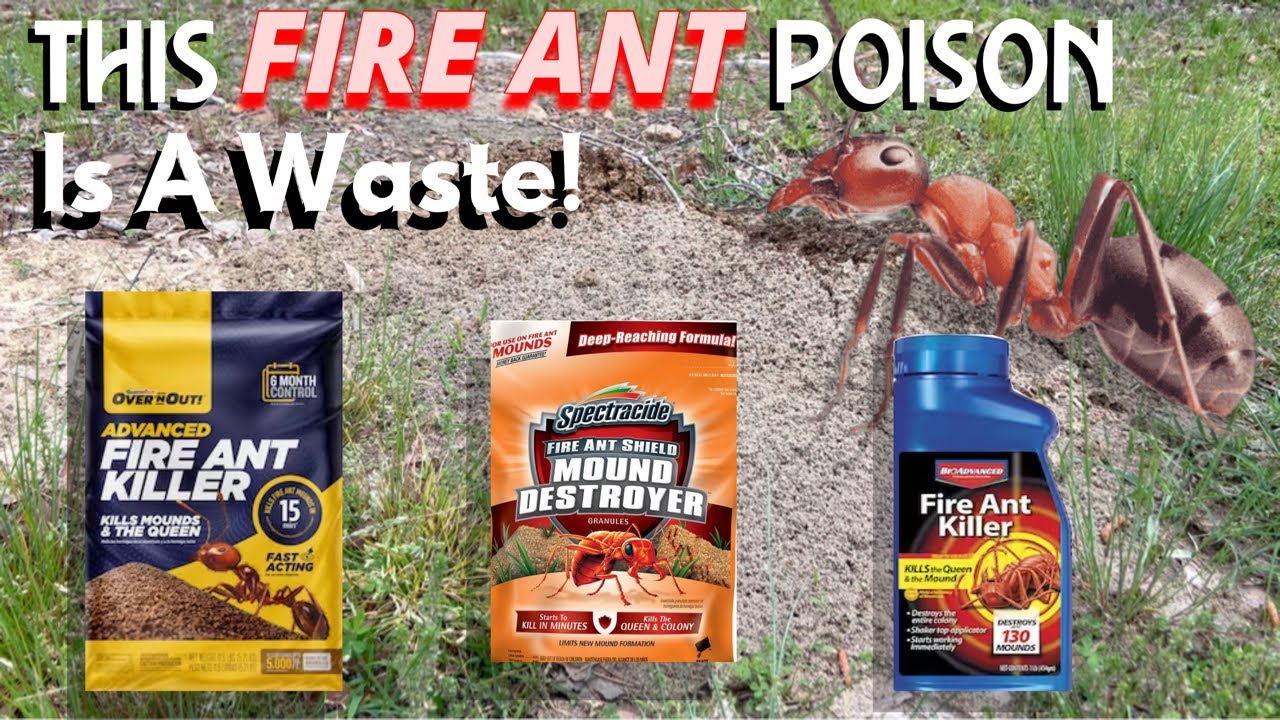 Don&rsquo;t waste your money on THIS fireant killer! | Testing Fire Ant Pesticides