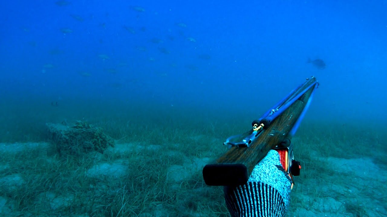 🔱Έπιασα Ένα ΣΠΑΝΙΟ Ψάρι Στο Ψαροντούφεκο | Spearfishing a RARE Fish!