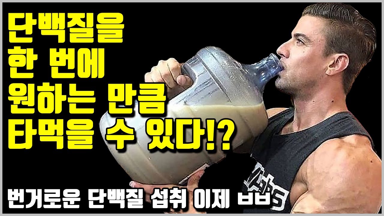 단백질 섭취엔 상한이 없다!? 단백질 섭취 최신 논문