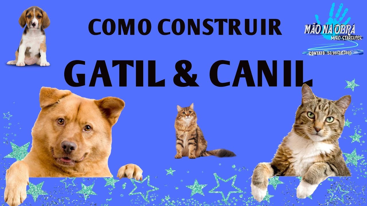 Como fazer um gatil e canil, faça você mesmo